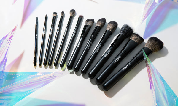 All You Need Brush Set